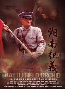久久综合免费视频